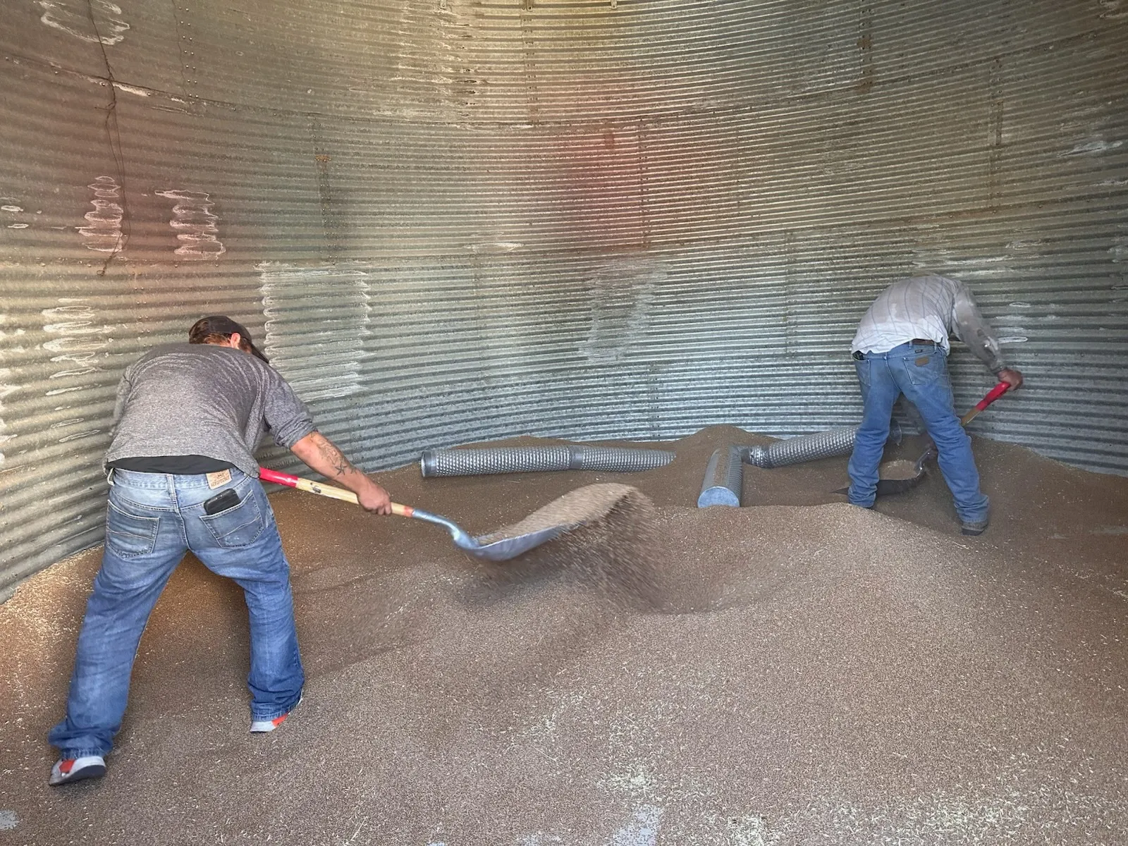 Gallery Image: Golden Waves llc Mobile Grain Cleaning
